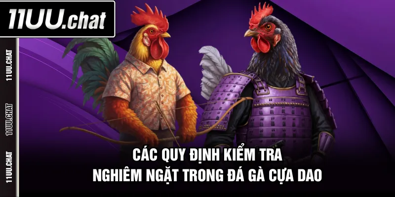 Các quy định kiểm tra nghiêm ngặt trong đá gà cựa dao