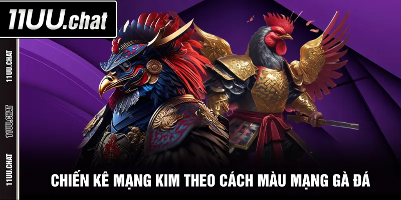 Chiến kê mạng Kim theo cách màu mạng gà đá