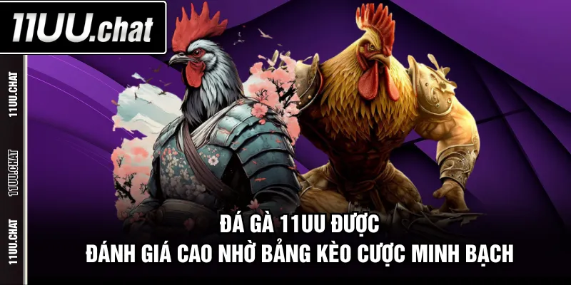 Đá Gà 11UU được đánh giá cao nhờ bảng kèo cược minh bạch