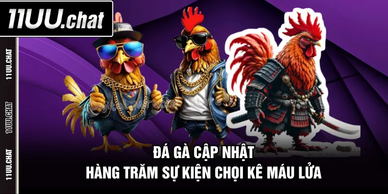 Đá Gà cập nhật hàng trăm sự kiện chọi kê máu lửa