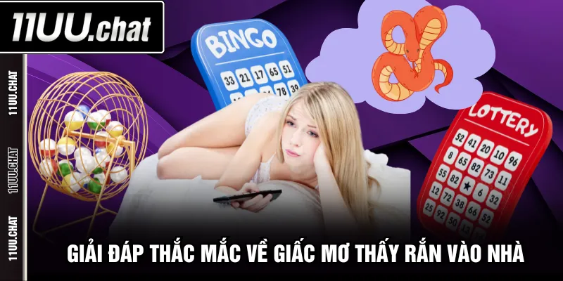 Giải đáp thắc mắc về giấc mơ thấy rắn vào nhà 
