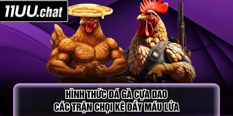 Đá gà cựa dao