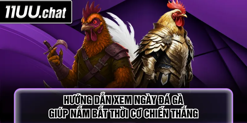 xem ngày đá gà
