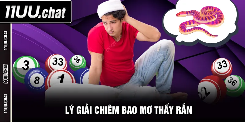 Lý giải chiêm bao mơ thấy rắn