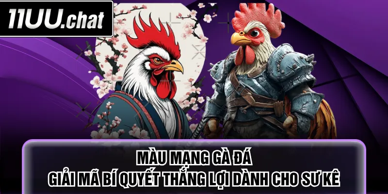 màu mạng gà đá