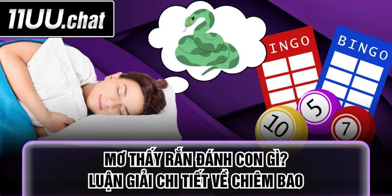 Mơ thấy rắn đánh con gì
